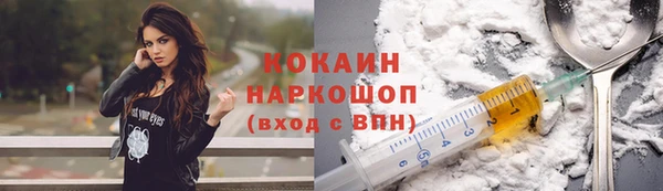 гашик Майский