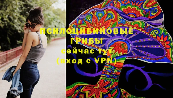 скорость Липки