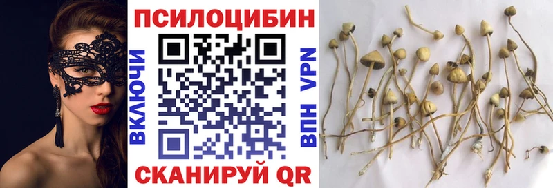 Галлюциногенные грибы MAGIC MUSHROOMS купить Астрахань