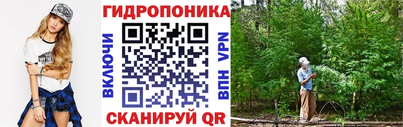 darknet телеграм  купить наркоту  Астрахань  Конопля планчик 